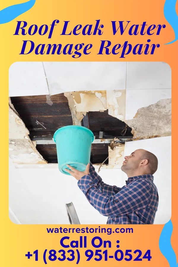 Roof Leak Water Damage Repair in Lafourche Crossing, LA