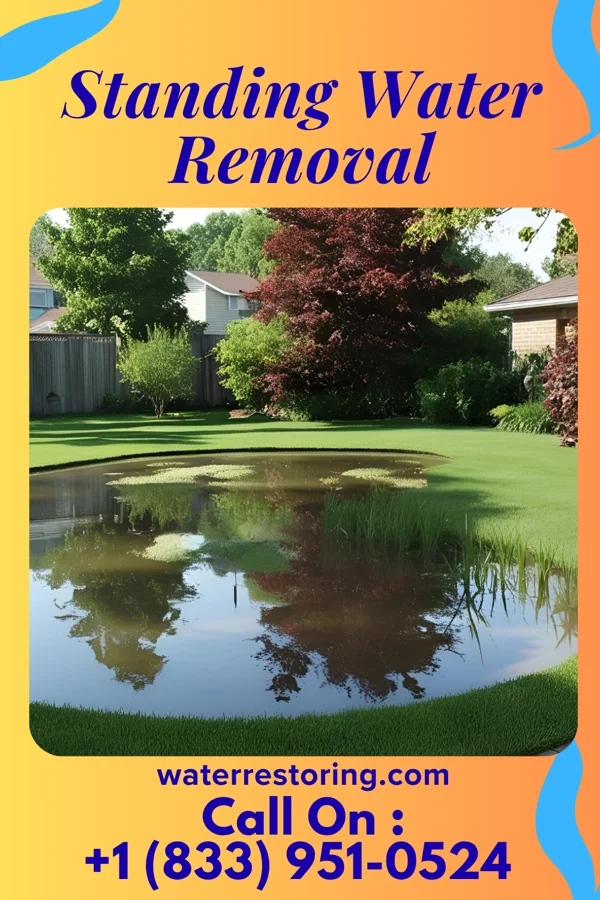 Standing Water Removal in Lafourche Crossing, LA